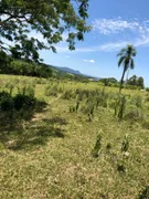 Fazenda / Sítio / Chácara com 1 Quarto à venda, 30000m² no , Faxinal - Foto 4