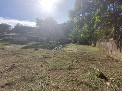 Terreno / Lote / Condomínio à venda, 1000m² no Parque Agrinco , Guararema - Foto 6