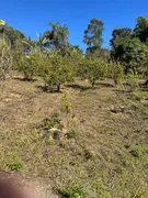 Fazenda / Sítio / Chácara com 3 Quartos à venda, 4000m² no Zona Rural, Itatiaiuçu - Foto 5