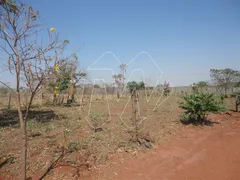 Fazenda / Sítio / Chácara à venda, 1m² no Centro, Araraquara - Foto 19