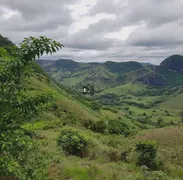 Fazenda / Sítio / Chácara com 3 Quartos à venda, 720000m² no Zona Rural, Mar de Espanha - Foto 10