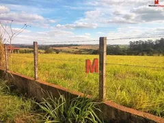 Terreno / Lote / Condomínio à venda, 20000m² no , Porto Feliz - Foto 12