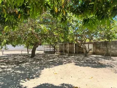 Fazenda / Sítio / Chácara com 3 Quartos à venda, 4000m² no Zona Rural, São José de Mipibu - Foto 44