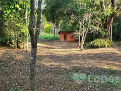 Fazenda / Sítio / Chácara com 6 Quartos à venda, 400m² no Condominio Jardim das Palmeiras, Bragança Paulista - Foto 15