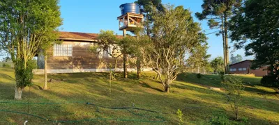 Fazenda / Sítio / Chácara com 3 Quartos à venda, 10000m² no Rancho Alegre, Campina Grande do Sul - Foto 5