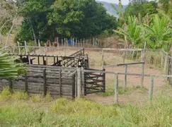 Fazenda / Sítio / Chácara com 3 Quartos à venda, 720000m² no Zona Rural, Mar de Espanha - Foto 5