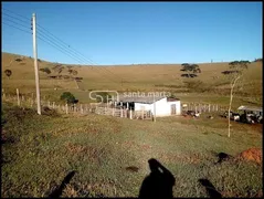 Fazenda / Sítio / Chácara com 5 Quartos à venda, 1m² no Rocinha, Guaratinguetá - Foto 14