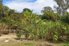 Fazenda / Sítio / Chácara à venda, 2000m² no Floresta, Belo Horizonte - Foto 23