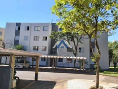 Apartamento com 3 Quartos à venda, 61m² no Vitoria Regia, Londrina - Foto 1