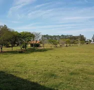 Fazenda / Sítio / Chácara com 2 Quartos à venda, 65m² no Zona Rural, Quadra - Foto 16