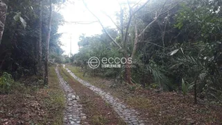 Fazenda / Sítio / Chácara com 4 Quartos à venda, 10000m² no Zona Rural, Uberlândia - Foto 11