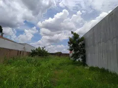 Galpão / Depósito / Armazém à venda, 326m² no Presidente Roosevelt, Uberlândia - Foto 13
