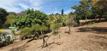 Terreno / Lote / Condomínio à venda no Parque Mirante de Parnaiba, Santana de Parnaíba - Foto 2