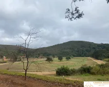 Fazenda / Sítio / Chácara com 10 Quartos à venda, 120000m² no Serra, Teresópolis - Foto 14