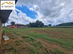 Fazenda / Sítio / Chácara com 2 Quartos à venda, 190m² no Faxina, São José dos Pinhais - Foto 4