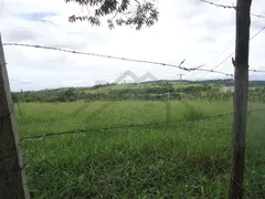 Fazenda / Sítio / Chácara com 2 Quartos à venda, 120m² no Chácaras Alpina, Valinhos - Foto 3