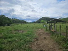 Fazenda / Sítio / Chácara com 2 Quartos à venda, 5000m² no Jucu, Viana - Foto 12