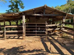 Fazenda / Sítio / Chácara com 2 Quartos à venda, 60m² no Santa Isabel do Rio Preto, Valença - Foto 16