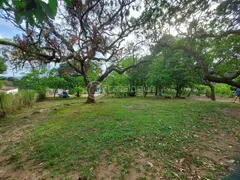 Fazenda / Sítio / Chácara com 4 Quartos à venda, 200m² no Zona Rural, São José de Mipibu - Foto 9