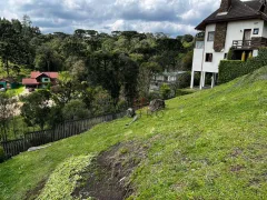 Terreno / Lote / Condomínio à venda, 524m² no Saint Moritz, Gramado - Foto 7