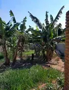 Terreno / Lote / Condomínio à venda, 1200m² no Parque da Fazenda, Itatiba - Foto 7