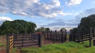 Fazenda / Sítio / Chácara com 3 Quartos à venda, 1984000m² no Nossa Senhora Aparecida, Uberlândia - Foto 1