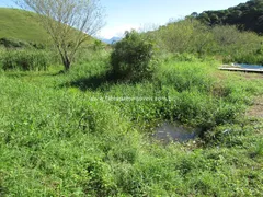 Fazenda / Sítio / Chácara com 2 Quartos à venda, 45000m² no Maraporã, Cachoeiras de Macacu - Foto 9