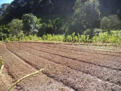 Fazenda / Sítio / Chácara com 3 Quartos à venda no Providencia, Teresópolis - Foto 8