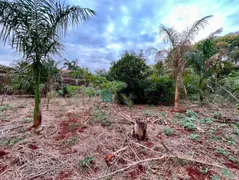 Fazenda / Sítio / Chácara à venda, 5255m² no Jardim Nilza, Maringá - Foto 23