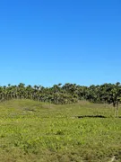 Fazenda / Sítio / Chácara à venda no , Itapecuru Mirim - Foto 11