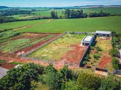 Fazenda / Sítio / Chácara com 1 Quarto à venda, 1250m² no Zona Rural, Cascavel - Foto 1