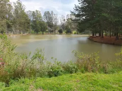 Fazenda / Sítio / Chácara com 5 Quartos à venda, 130000m² no Santa Lúcia do Piaí, Caxias do Sul - Foto 8