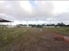 Terreno / Lote / Condomínio para alugar, 7050m² no Anchieta, Porto Alegre - Foto 10