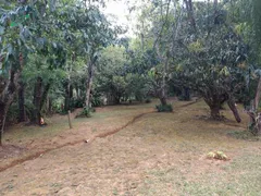 Fazenda / Sítio / Chácara com 6 Quartos à venda, 600m² no Jardim Itapema, Guararema - Foto 9