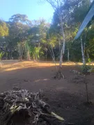 Fazenda / Sítio / Chácara com 3 Quartos à venda, 3000m² no Zona Rural, Campina Grande do Sul - Foto 11