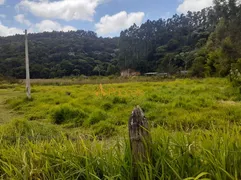 Fazenda / Sítio / Chácara com 4 Quartos à venda, 1700000m² no Centro, São Luiz do Paraitinga - Foto 1
