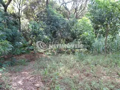 Casa com 3 Quartos à venda, 398m² no Bosque de Ibirite, Ibirite - Foto 20