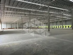 Conjunto Comercial / Sala para alugar, 4002m² no , Flores da Cunha - Foto 10