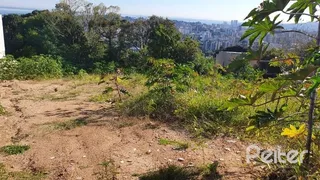 Terreno / Lote / Condomínio à venda, 1343m² no Setimo Ceu, Porto Alegre - Foto 3