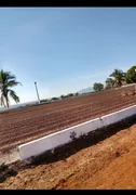 Fazenda / Sítio / Chácara à venda no Zona Rural, Belo Horizonte - Foto 1