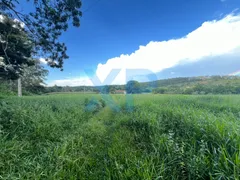 Fazenda / Sítio / Chácara com 3 Quartos à venda, 80m² no Zona Rural, São Sebastião do Oeste - Foto 9