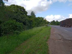 Terreno / Lote / Condomínio à venda, 100000m² no , Cruzeiro do Sul - Foto 6