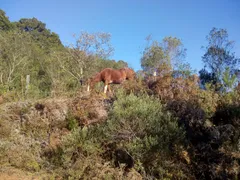 Terreno / Lote / Condomínio à venda, 1000m² no Contenda, São José dos Pinhais - Foto 9