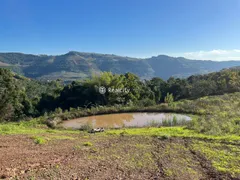 Terreno / Lote / Condomínio à venda, 20017m² no Faria Lemos, Bento Gonçalves - Foto 4