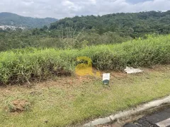 Terreno / Lote / Condomínio à venda no Ponta Aguda, Blumenau - Foto 2