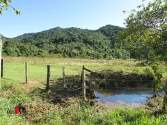 Fazenda / Sítio / Chácara com 3 Quartos à venda, 2081200m² no Zona Rural, Rio Bonito - Foto 27