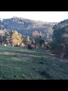Fazenda / Sítio / Chácara à venda, 380000m² no Area Rural de Amparo, Amparo - Foto 17