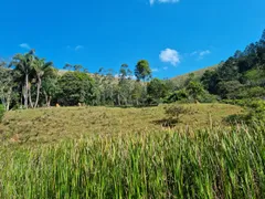 Fazenda / Sítio / Chácara com 3 Quartos à venda, 145200m² no São Francisco Xavier, São José dos Campos - Foto 10