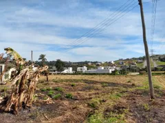 Fazenda / Sítio / Chácara com 5 Quartos à venda, 5000m² no BOSQUE, Vinhedo - Foto 12