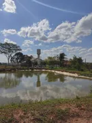 Fazenda / Sítio / Chácara à venda, 220m² no Centro, Tanabi - Foto 10